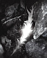 CD Rapture "Silent Stage"