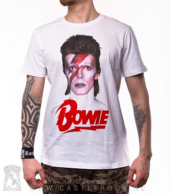 david bowie "aladdin sane" ()