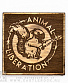 магнит деревянный белка "animal liberation"