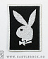  playboy  ()