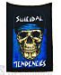  suicidal tendencies "collection"