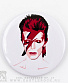  david bowie "aladdin sane"