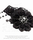  alchemy gothic ( ) p674 black dahlia