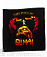  sum 41 "order in decline"