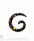    (, ) 6 