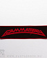 нашивка gamma ray (лого красное)