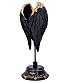   "dark angel"