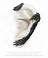   alchemy gothic ( ) e355 raven ear-wing