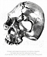 кольцо alchemy gothic (алхимия готик) r174 ruination skull