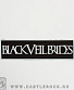  black veil brides ( )