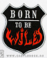   born to be wild ()