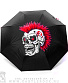  anarchy  punks not dead ( )