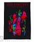    foo fighters "wasting light"