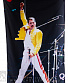   queen freddie mercury (  ,  )