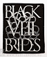 black veil brides (  )