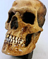 панно череп с золотым зубом
