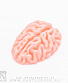мыло рельефное мозг (малый)