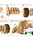 3d  darth vader   ( )