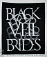    black veil brides ()