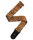    leopard 50h08