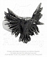 кольцо alchemy gothic (алхимия готик) r197 flocking raven