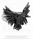  alchemy gothic ( ) r197 flocking raven