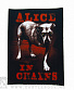    alice in chains