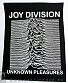    joy division "unknown pleasures"