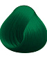  / crazy color 46 pine green (-)