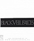  black veil brides ( )